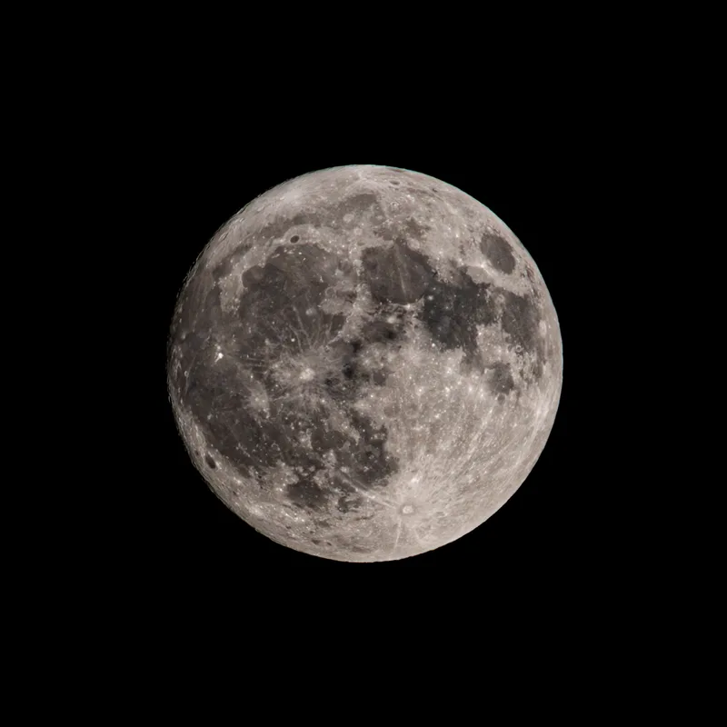 Portfolio fotografico - Luna piena — fotografia naturalistica