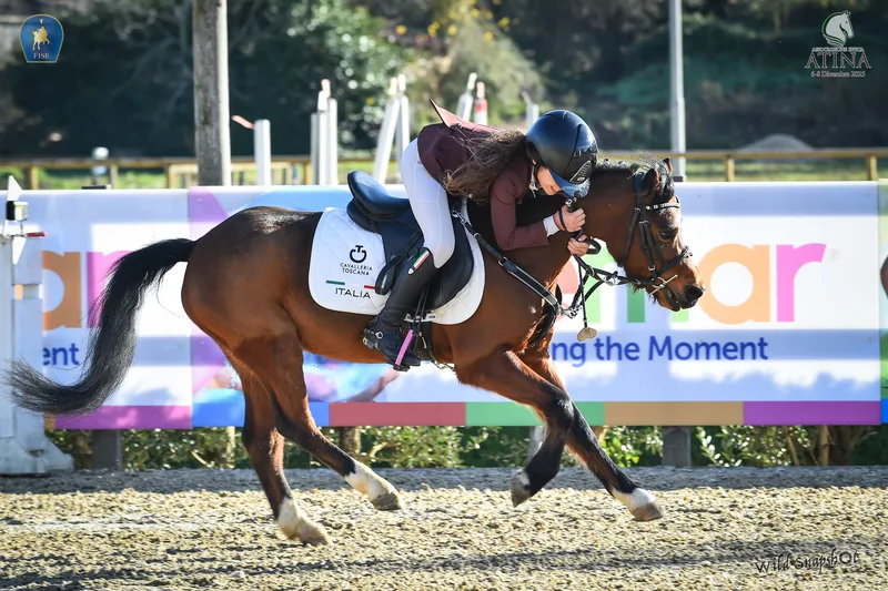 Fotografia equestre - Sport nel portfolio WildSnapshot