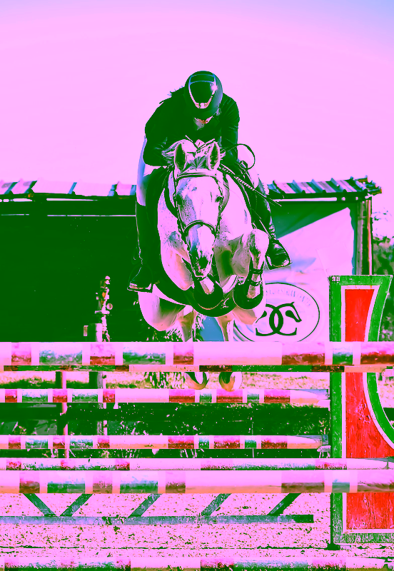 Equitazione professionale